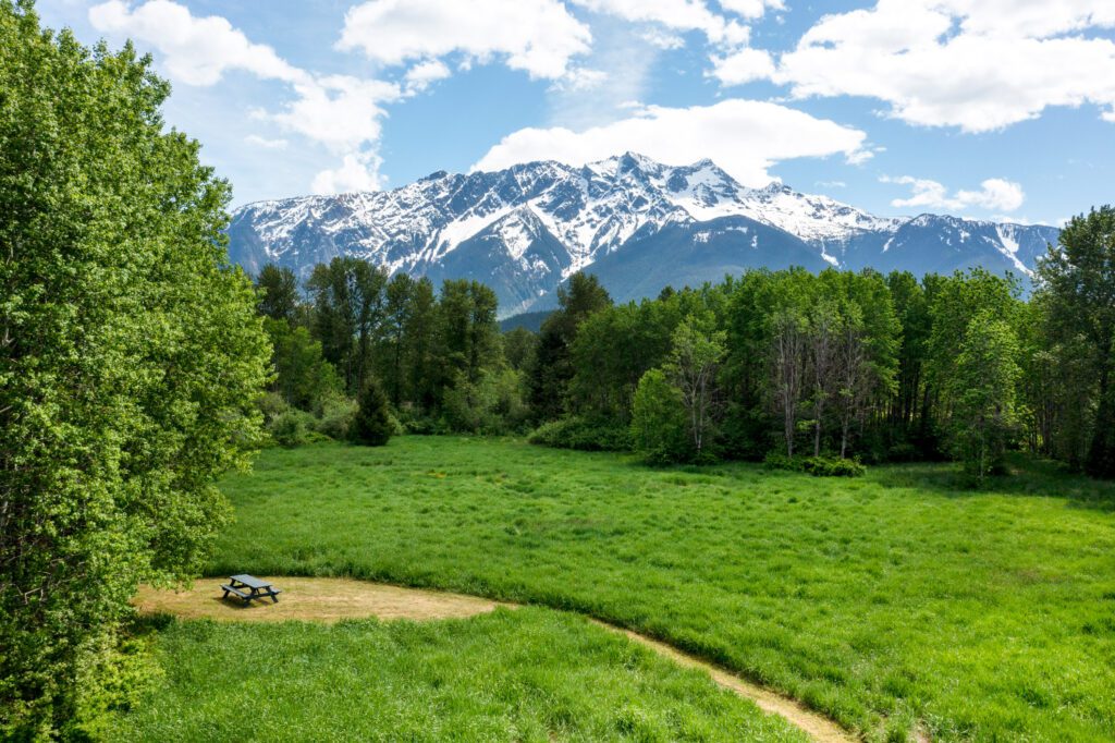 1422 Collins Rd-fieldofdreams